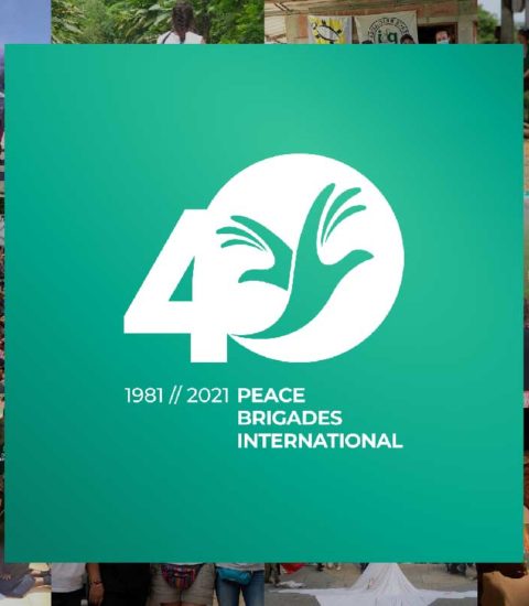 peace brigades