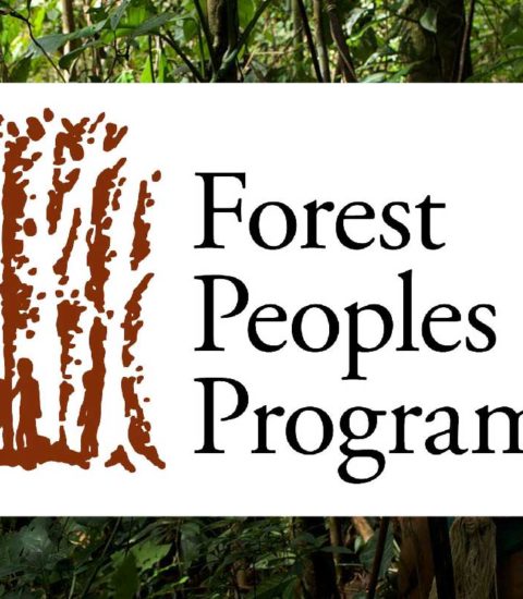 Forest Peoples Programme