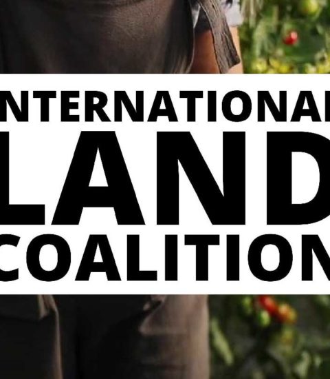 International Land Coalition
