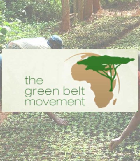 The Greenbelt Movement